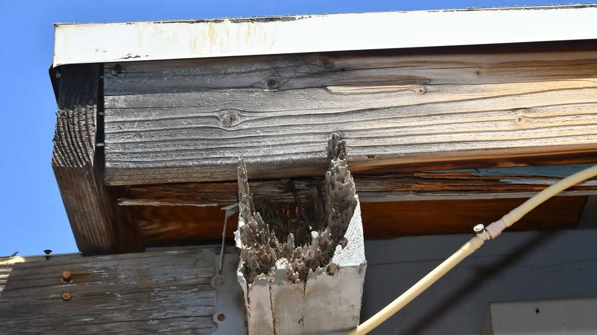 Rotting wood patio cover replacement