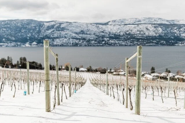 Patio cover snow load requirements in BC